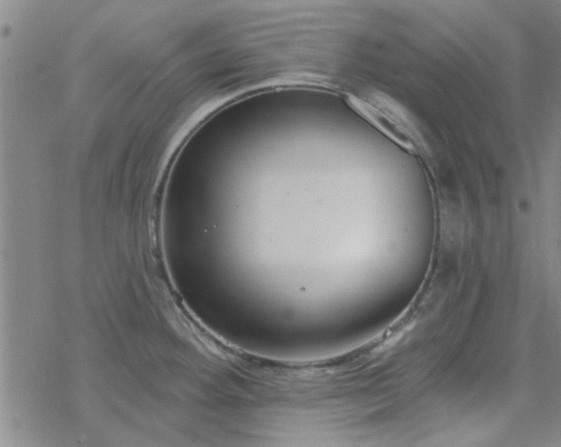 X0000069361292200605192049