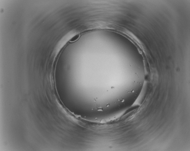 X0000069361293200605192049