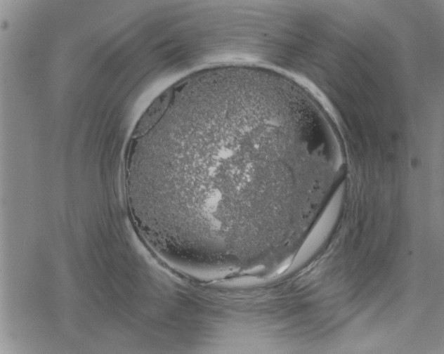 X0000069361295200605192049