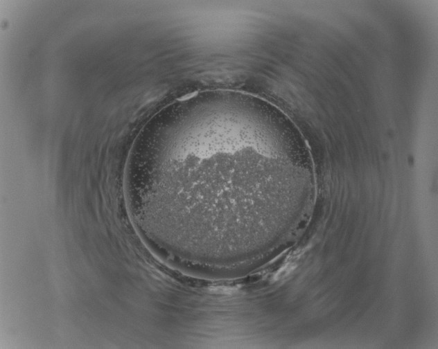 X0000069361297200605192048