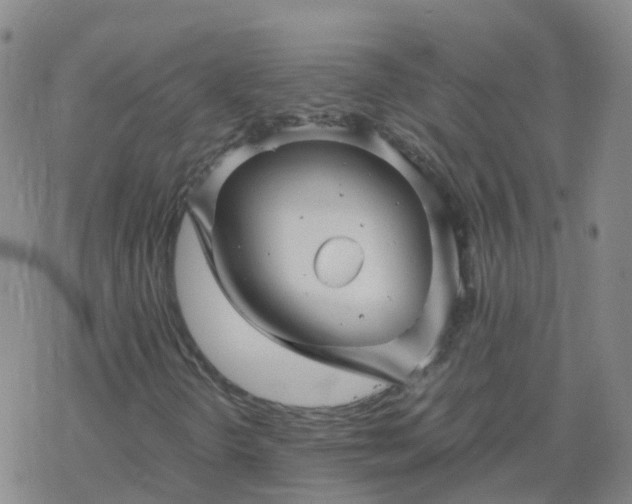 X0000069361298200605192048