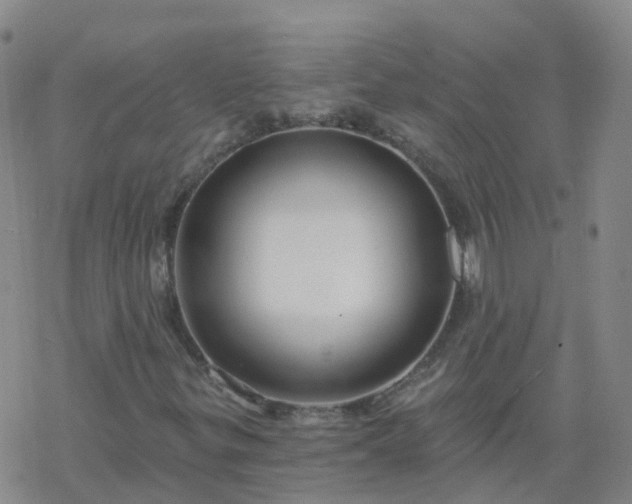 X0000069361299200605192048