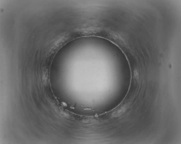 X0000069361300200605192048