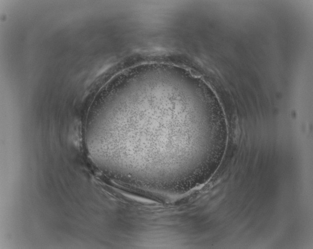 X0000069361301200605192048