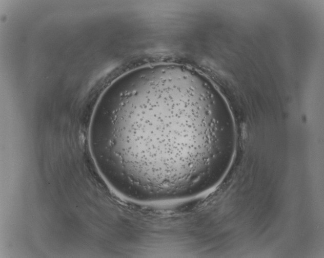 X0000069361302200605192048