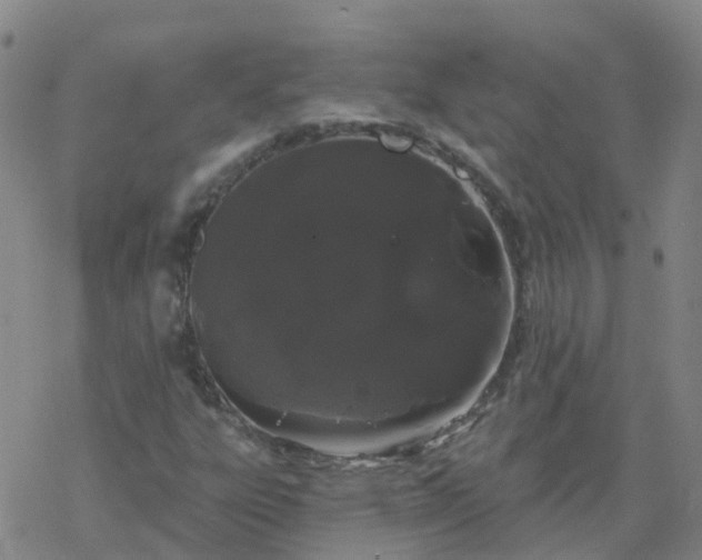 X0000069361303200605192048