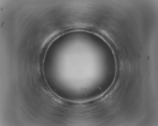 X0000069361307200605192048