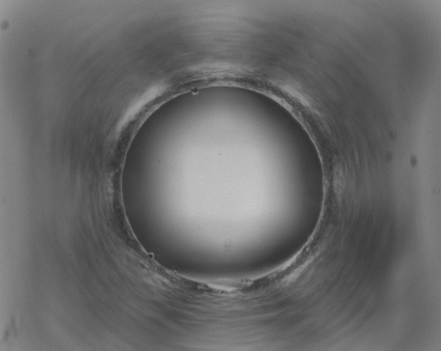 X0000069361309200605192048