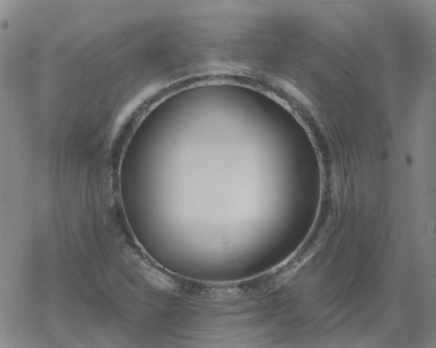 X0000069361310200605192048