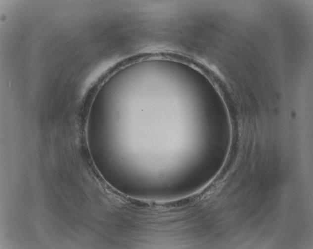 X0000069361311200605192048