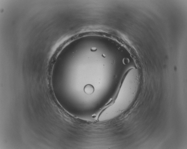 X0000069361312200605192048