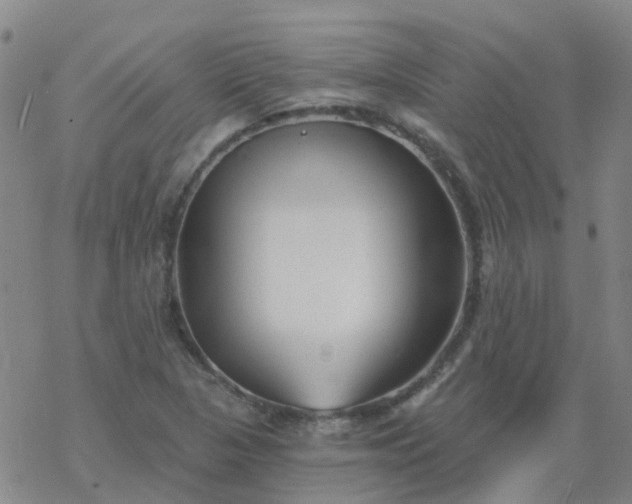 X0000069361313200605192048