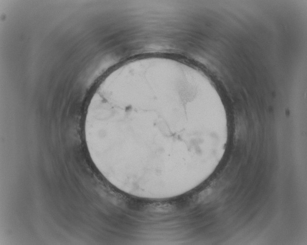 X0000069361314200605192048