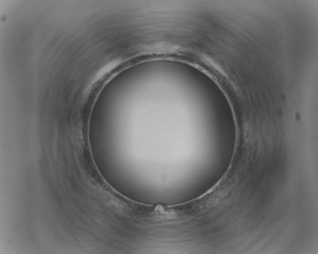 X0000069361315200605192048