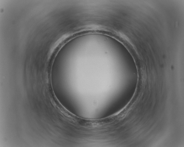 X0000069361318200605192048