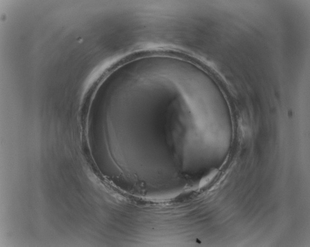 X0000069361319200605192048