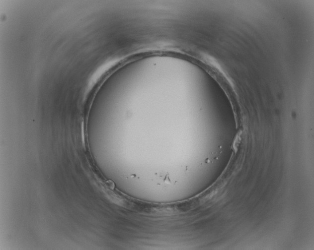 X0000069361320200605192048