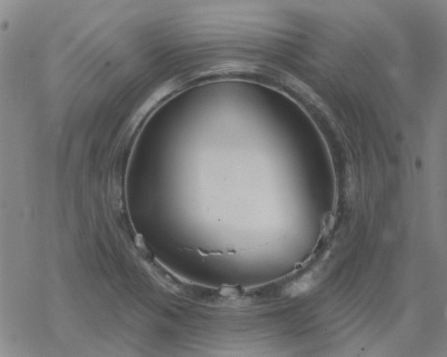 X0000069361321200605192048