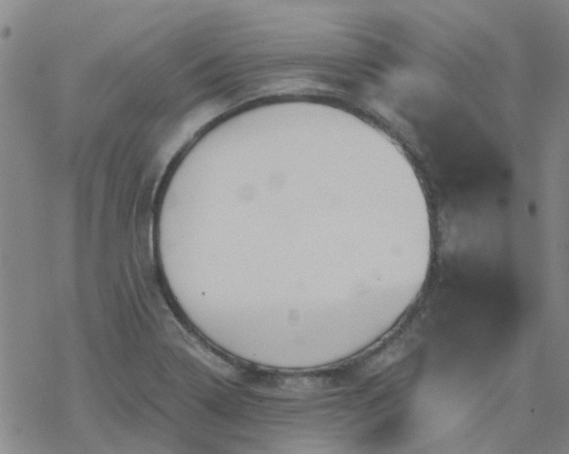 X0000069361322200605192048