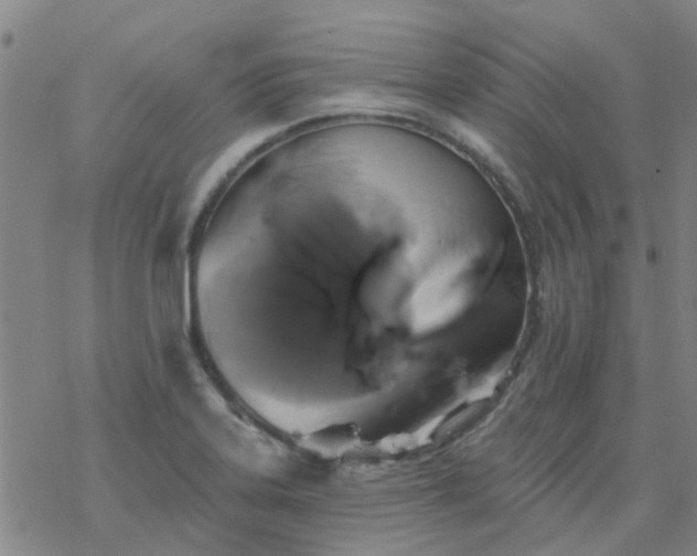 X0000069361323200605192048