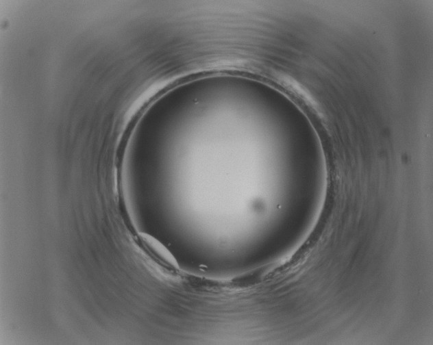 X0000069361324200605192048