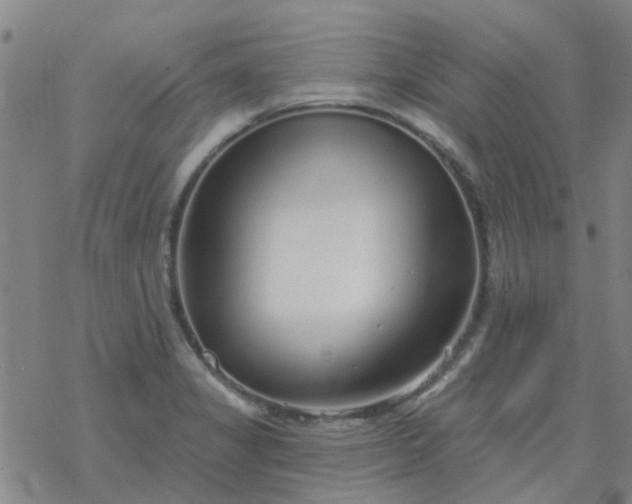 X0000069361325200605192048