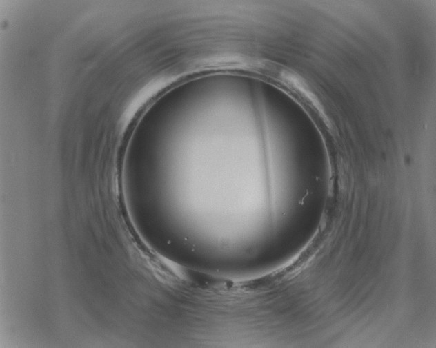 X0000069361328200605192048