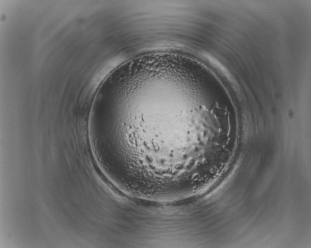 X0000069361329200605192048