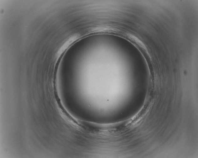 X0000069361330200605192048