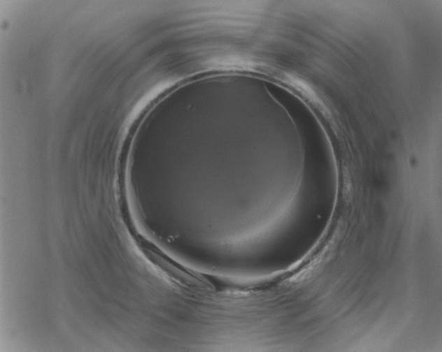 X0000069361331200605192048