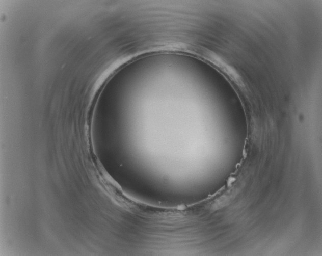 X0000069361332200605192048