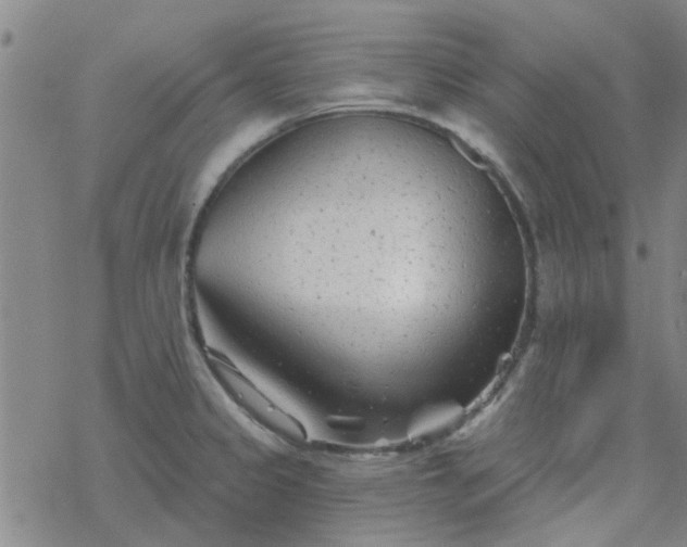 X0000069361333200605192048