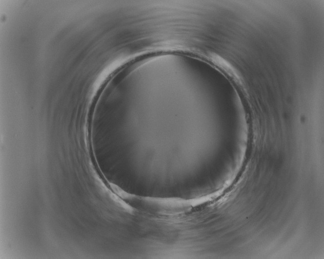 X0000069361334200605192048