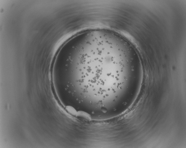 X0000069361335200605192048