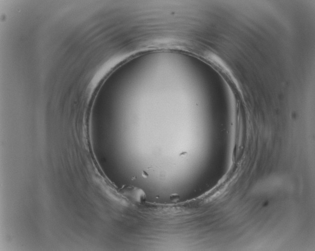 X0000069361336200605192048