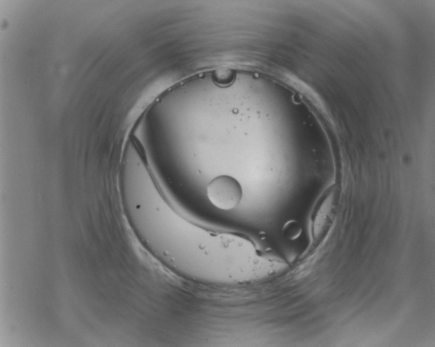 X0000069361338200605192048