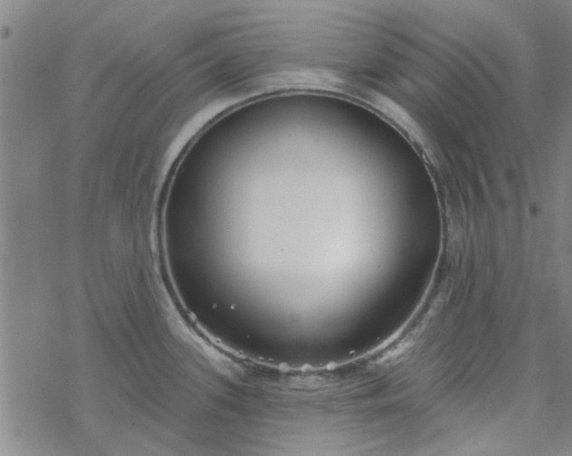 X0000069361339200605192048