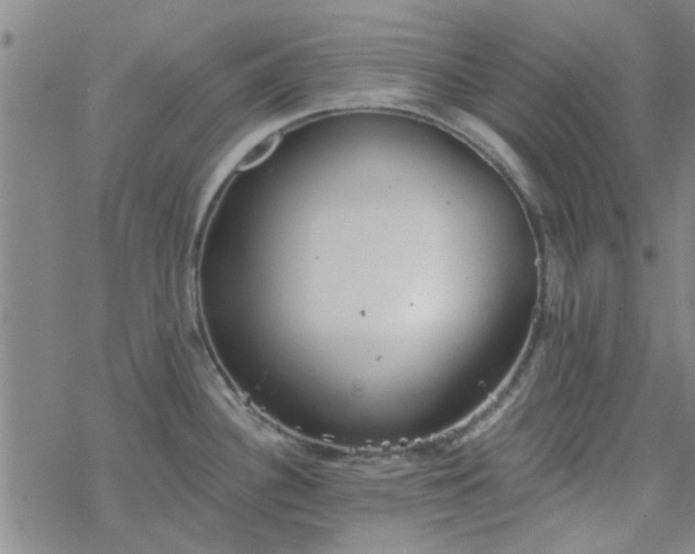 X0000069361340200605192048