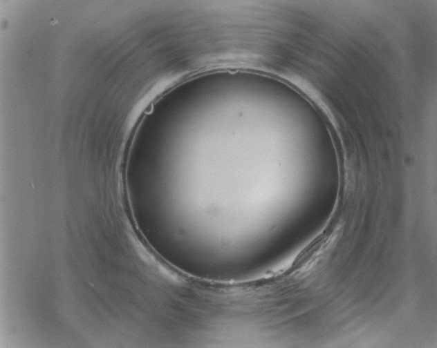 X0000069361341200605192048