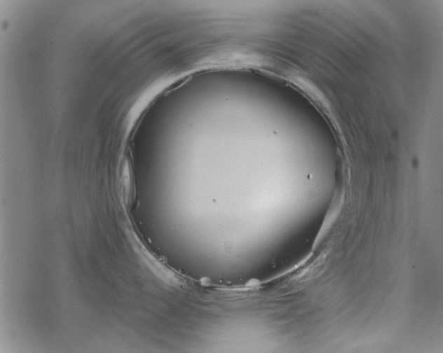 X0000069361344200605192049