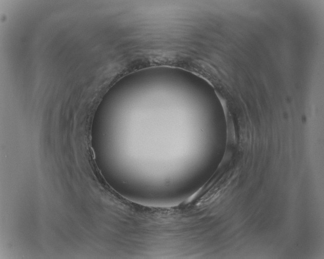 X0000069361345200605192048