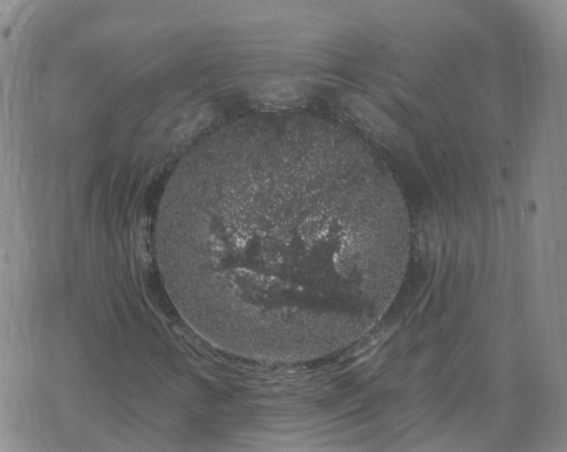 X0000069361346200605192048