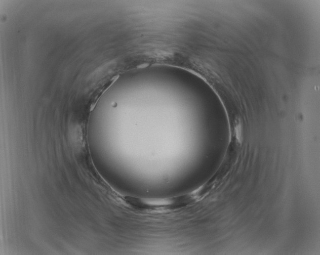 X0000069361347200605192048