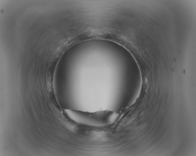 X0000069361348200605192048