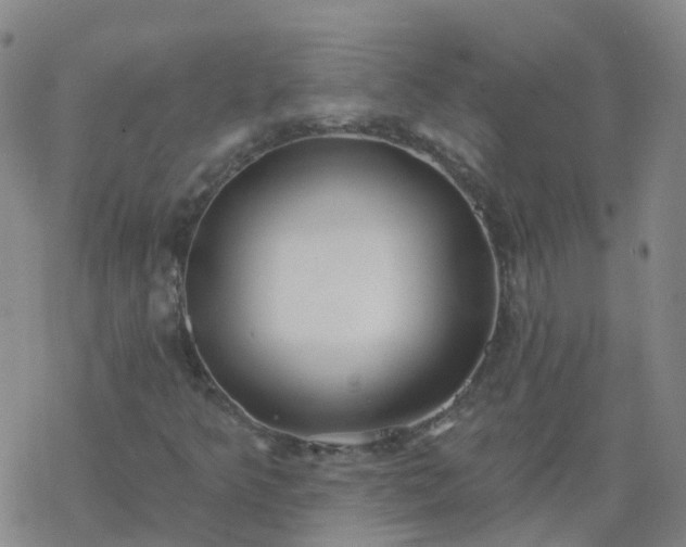 X0000069361349200605192048