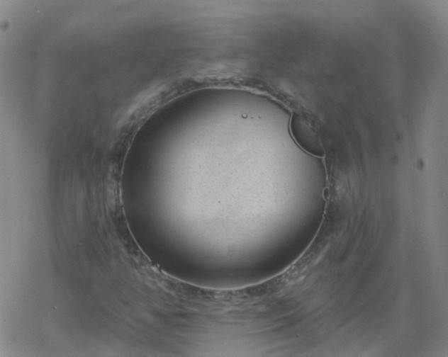 X0000069361350200605192048