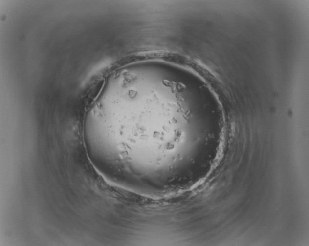 X0000069361351200605192048