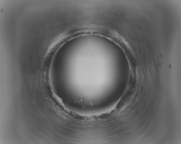 X0000069361352200605192048