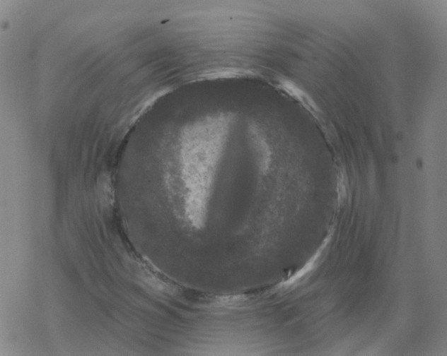 X0000069361353200605192048