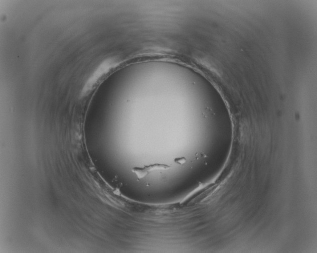 X0000069361355200605192048